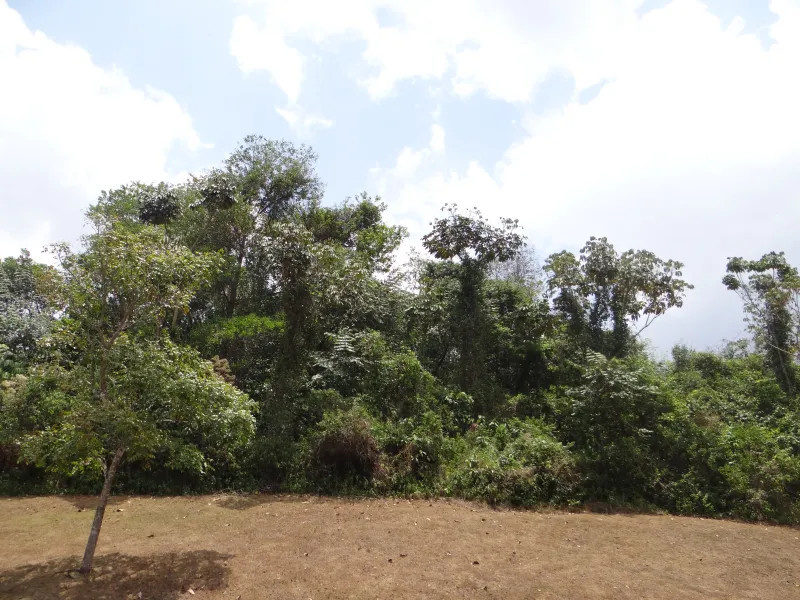 VENTA DE TERRENO PARA DESARROLLO EN CLAYTON