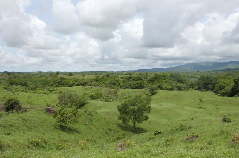 TERRENO EN UTIVÉ PACORA