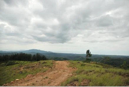 VENTA DE TERRENOS EN SORÁ CHAME