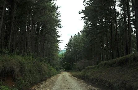 VENTA DE TERRENOS EN SORÁ CHAME