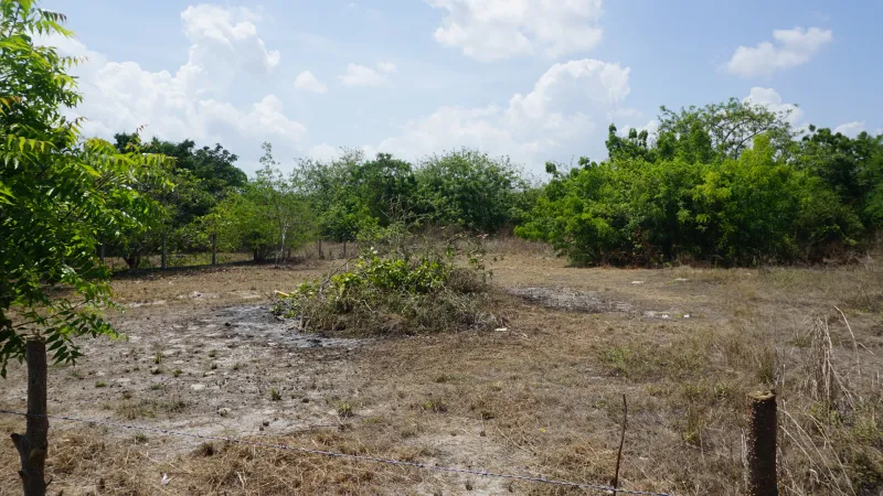 VENTA DE TERRENO EN NUEVA GORGONA