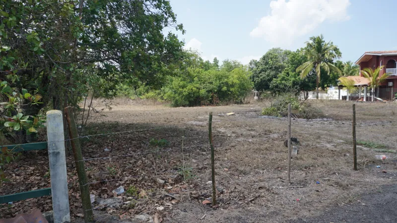 VENTA DE TERRENO EN NUEVA GORGONA