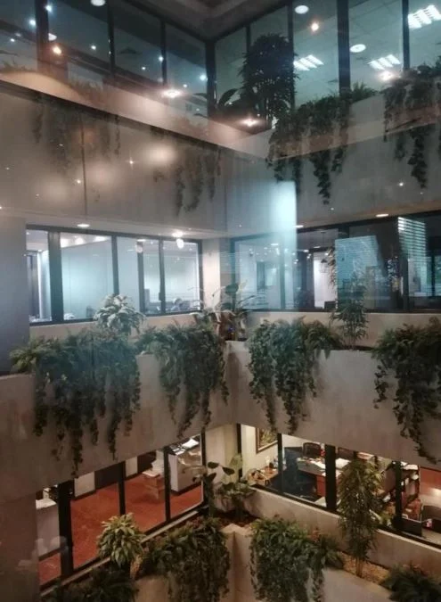 ALQUILER DE OFICINAS EN OBARRIO