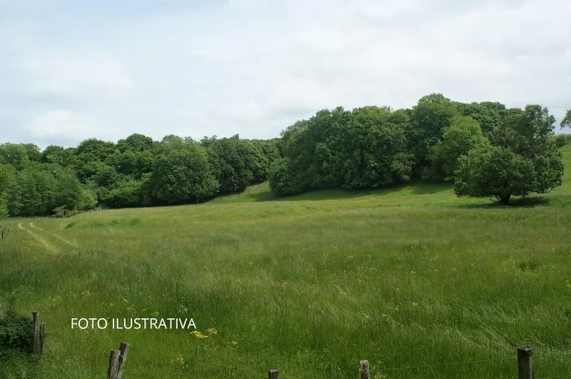 VENTA DE TERRENO EN FELIPILLO