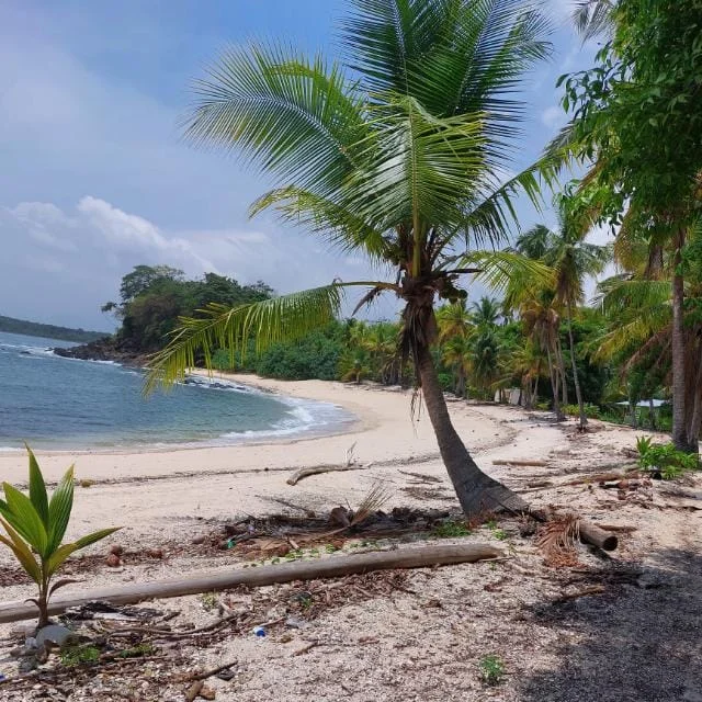VENTA DE TERRENO EN GONZALO VÁSQUEZ, CHIMÁN