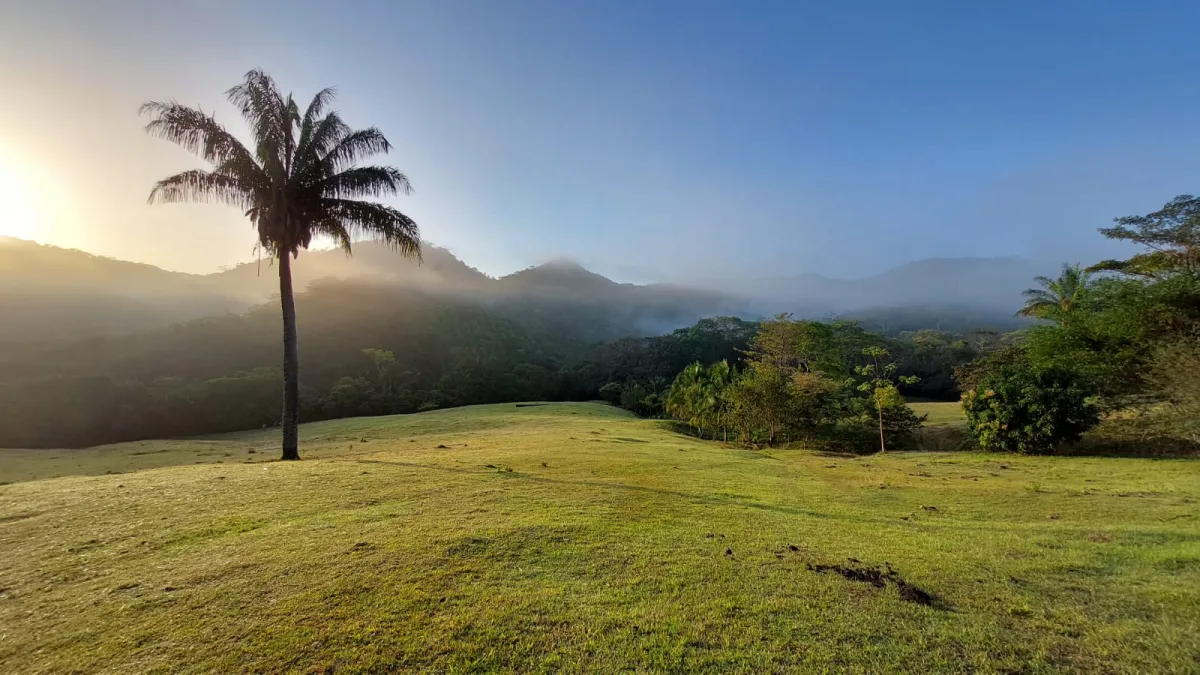 VENTA DE TERRENO EN CHEPO