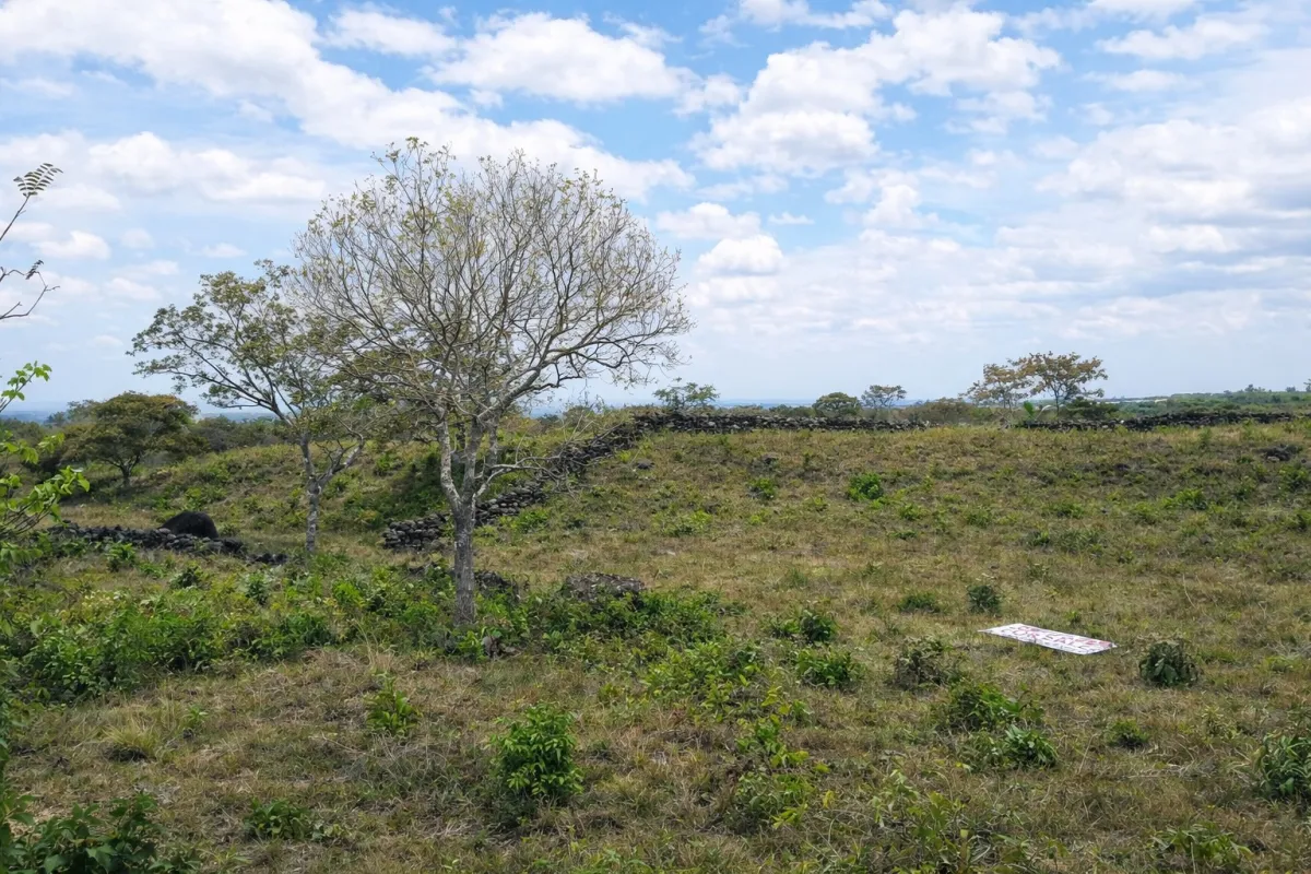 VENTA DE TERRENO SOBRE LA VÍA BOQUETE, LOS MOLINOS